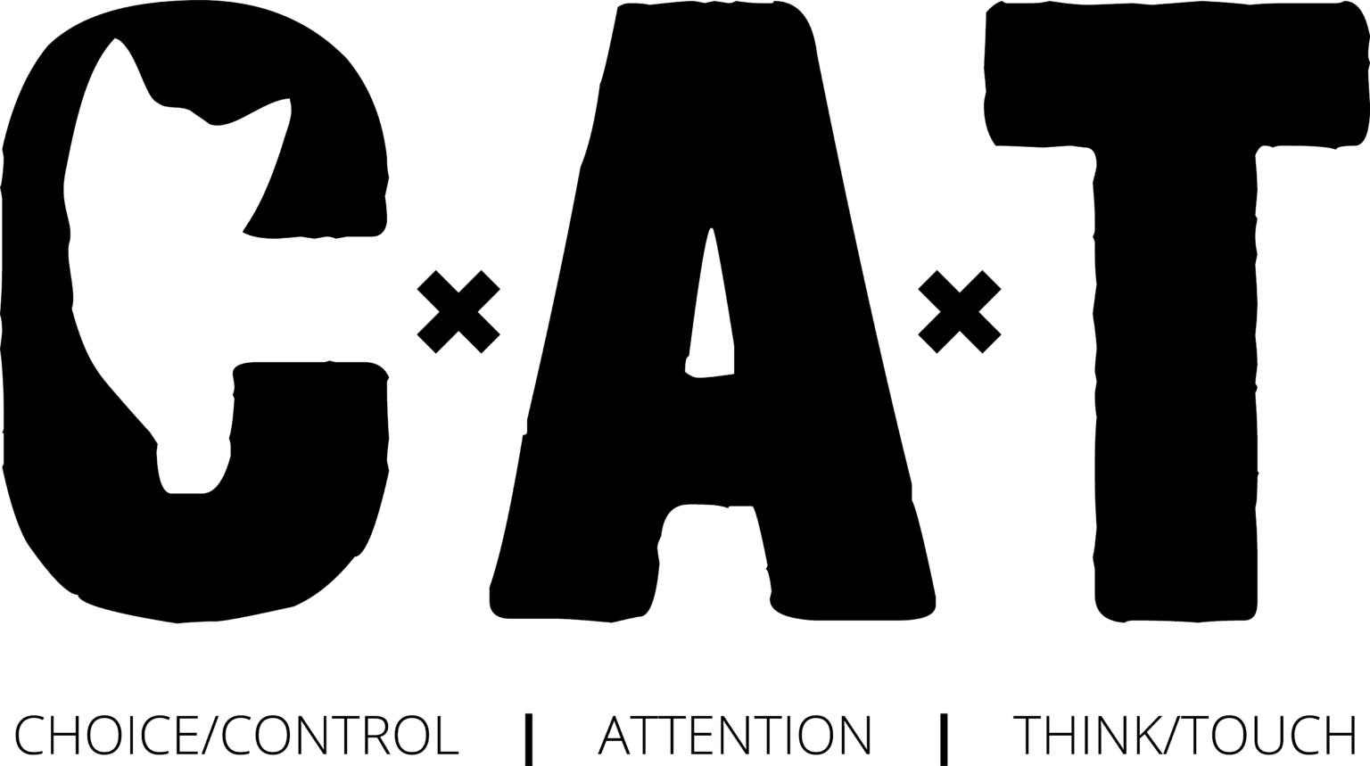 CAT Friendly Interaction Guidelines Friends For Life Animal Shelter