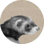 Ferret Icon