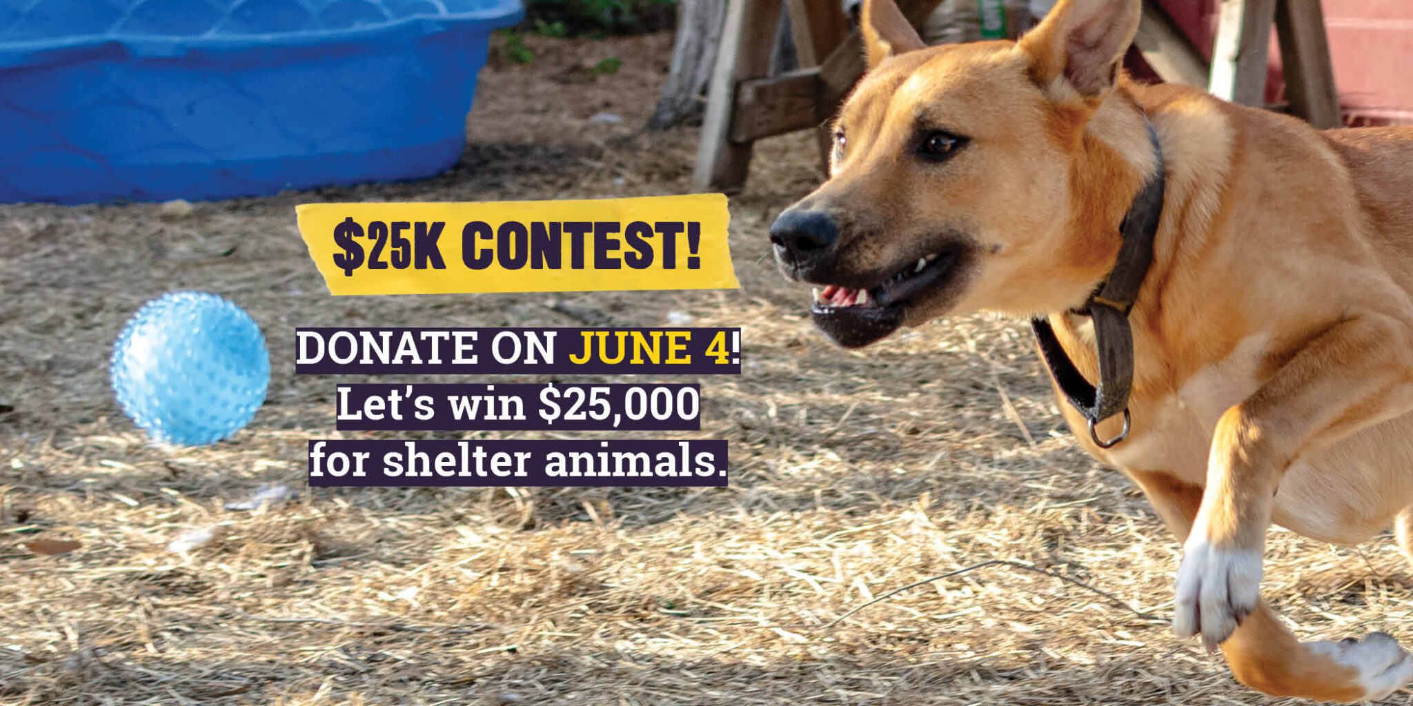 FFL_June4-Horizontal4