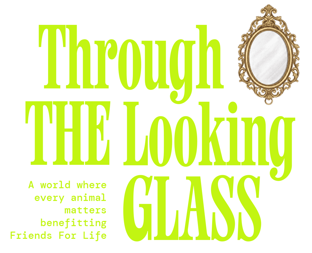 Through the Looking Glass Gala benefiting Friends For Life