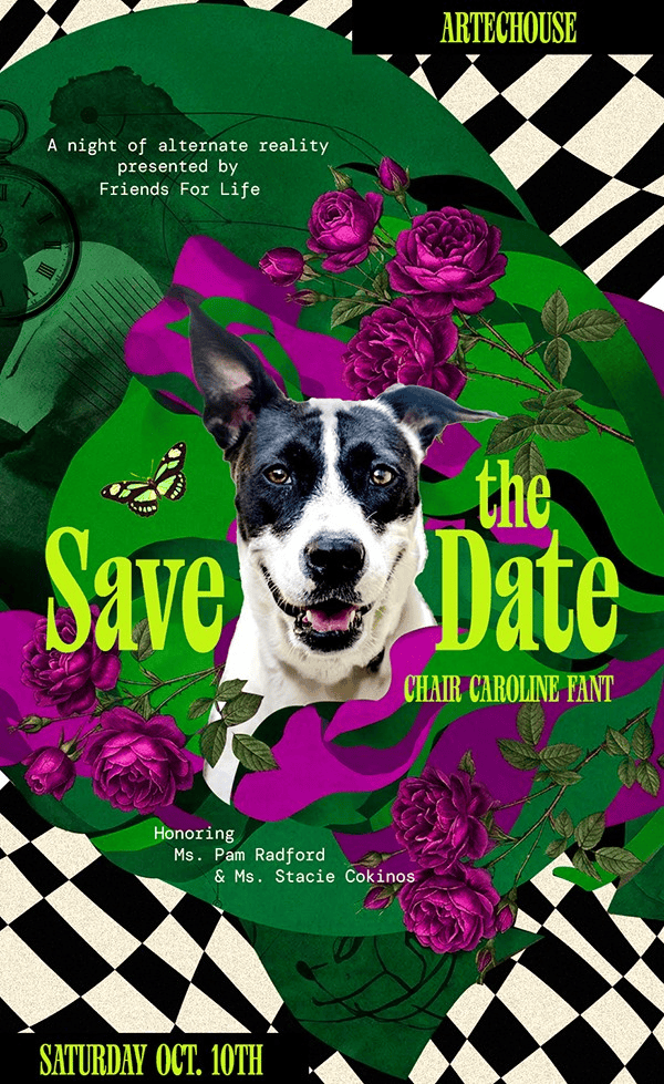Through the Looking Glass Gala save the date